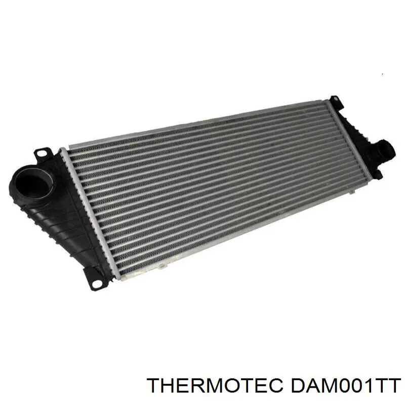 DAM001TT Thermotec Радіатор интеркуллера