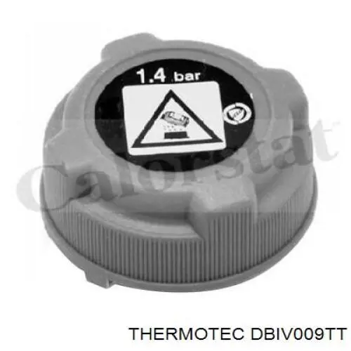 Бачок системи охолодження 5802505593 Iveco