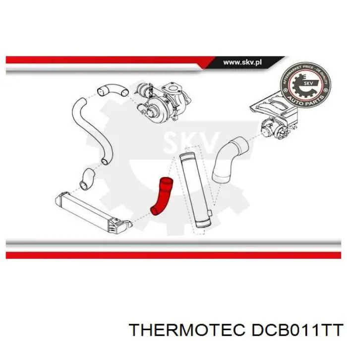 Купити DCB011TT Thermotec Шланг/патрубок интеркуллера
