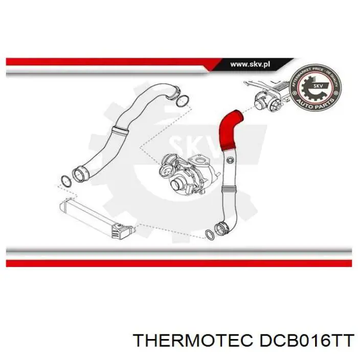 Купити DCB016TT Thermotec Шланг/патрубок интеркуллера