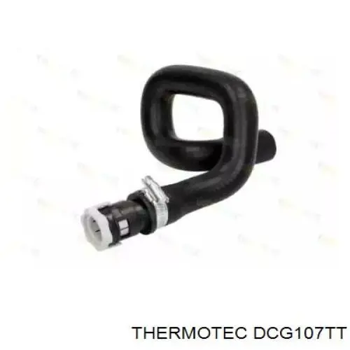 Купити DCG107TT Thermotec Трубопроводи і шланги системи охолодження