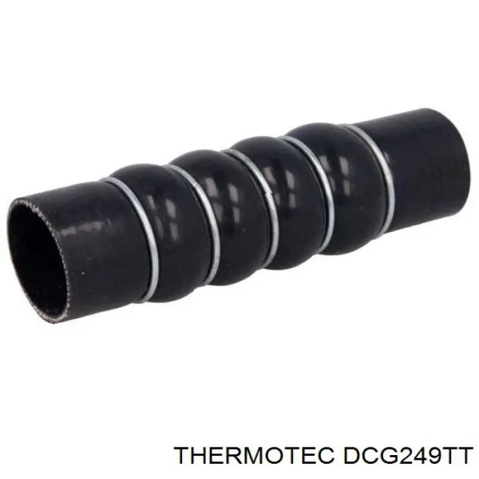 Купити DCG249TT Thermotec Шланг/патрубок интеркуллера