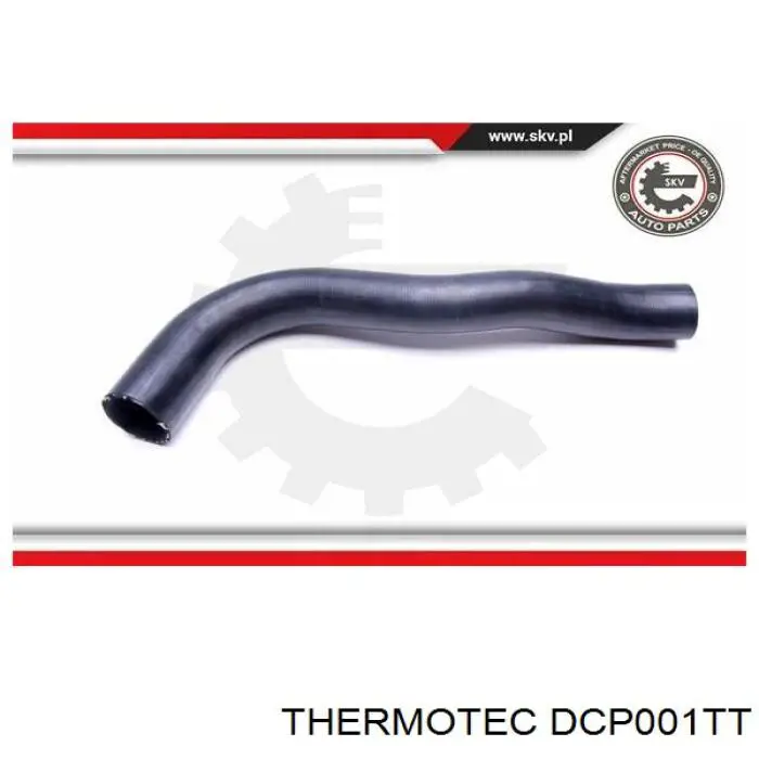 DCP001TT Thermotec 