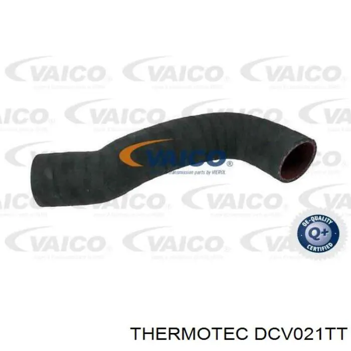 Купити DCV021TT Thermotec Шланг/патрубок интеркуллера