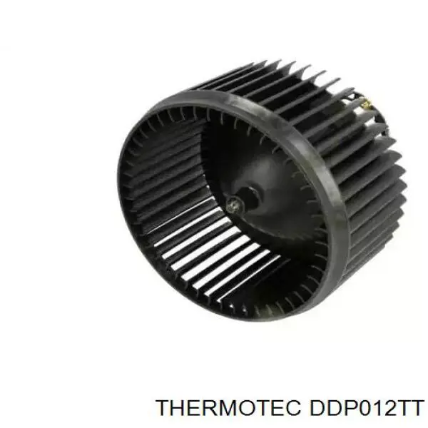 DDP012TT Thermotec Електромотор пічки