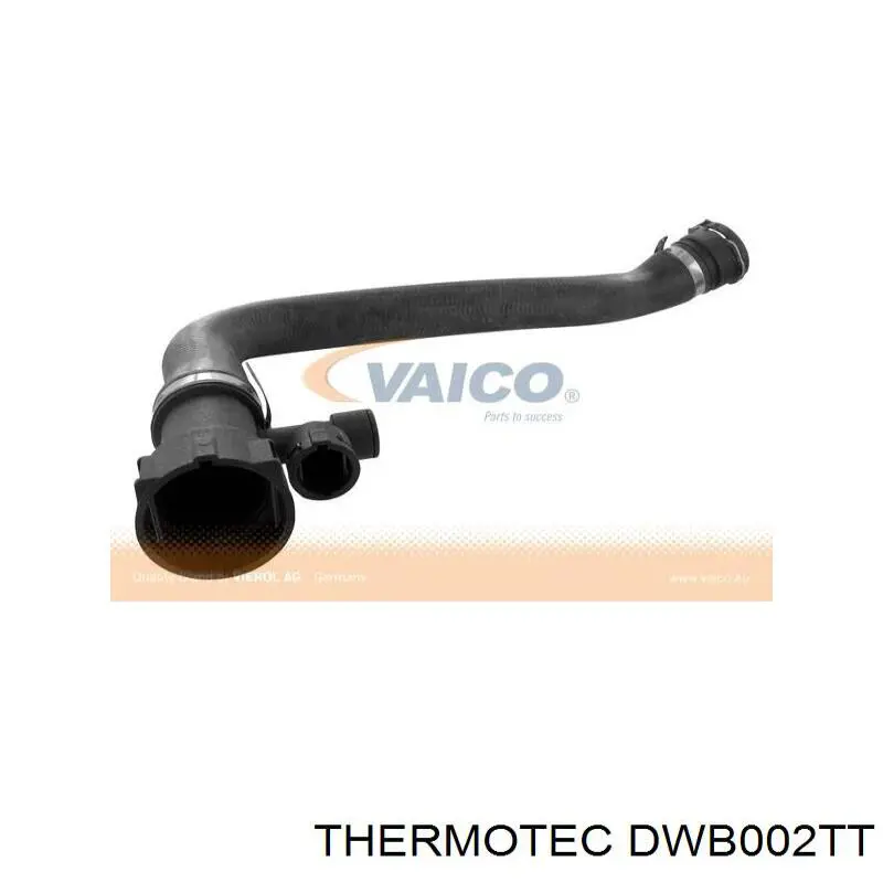 Шланг/патрубок радіатора охолодження, верхній DWB002TT Thermotec