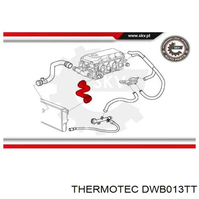 Шланг/патрубок радіатора охолодження, верхній DWB013TT Thermotec