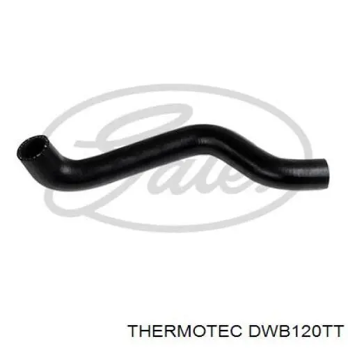 Шланг/патрубок радіатора охолодження, верхній Thermotec DWB120TT ціна, від 5.79 USD