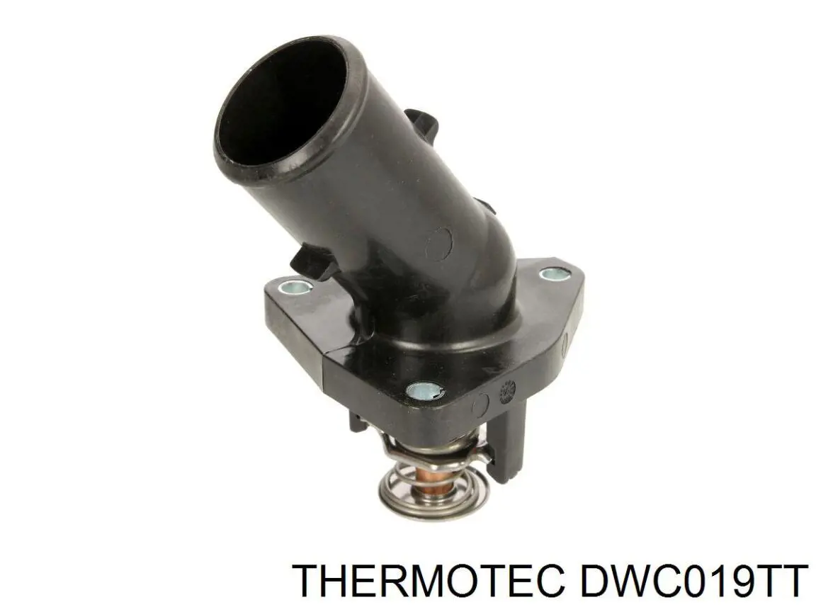 DWC019TT Thermotec шланг/патрубок радіатора охолодження, нижній