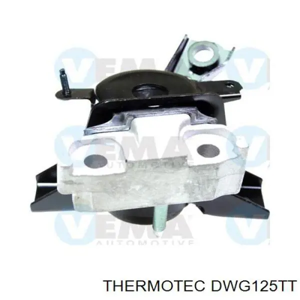 DWG125TT Thermotec шланг розширювального бачка, верхній