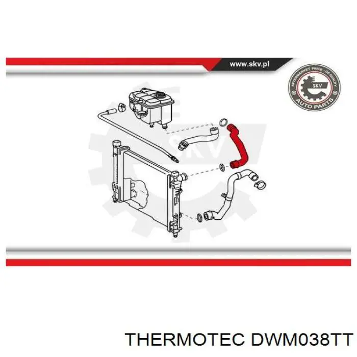Шланг/патрубок радіатора охолодження, верхній Thermotec DWM038TT ціна, від 22.18 USD