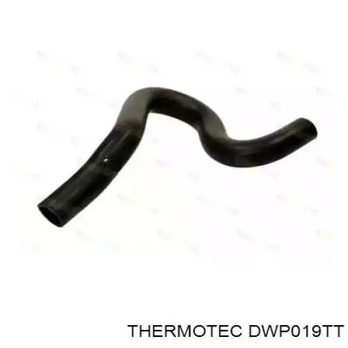 Купити DWP019TT Thermotec Шланг/патрубок радіатора охолодження, верхній