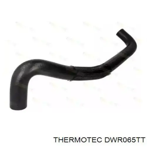 Купити DWR065TT Thermotec Шланг/патрубок радіатора охолодження, нижній