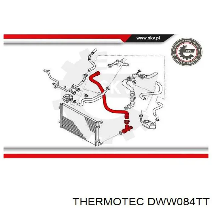 DWW084TT Thermotec шланг/патрубок радіатора охолодження, нижній