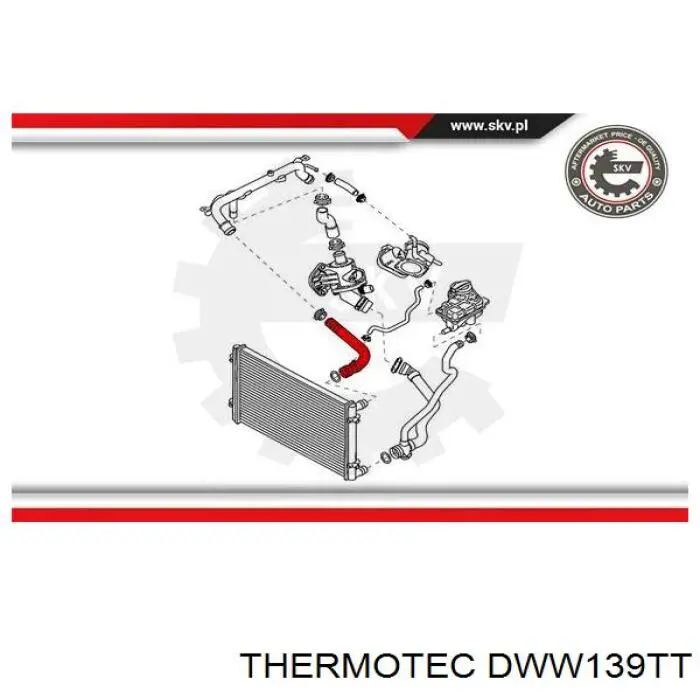 Купити DWW139TT Thermotec Шланг/патрубок радіатора охолодження, верхній