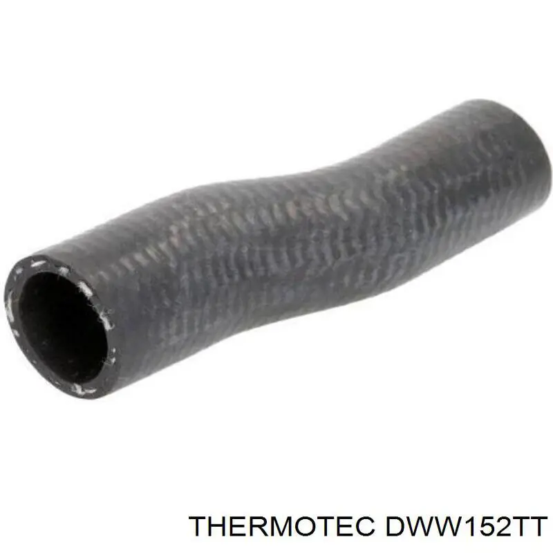 Купити DWW152TT Thermotec Трубопроводи і шланги системи охолодження