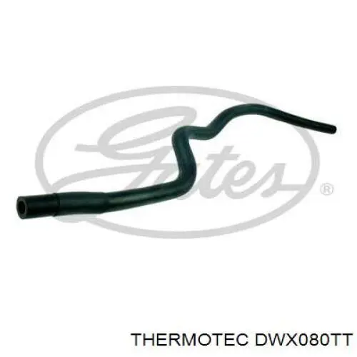 Купити DWX080TT Thermotec Шланг/патрубок радіатора охолодження, нижній