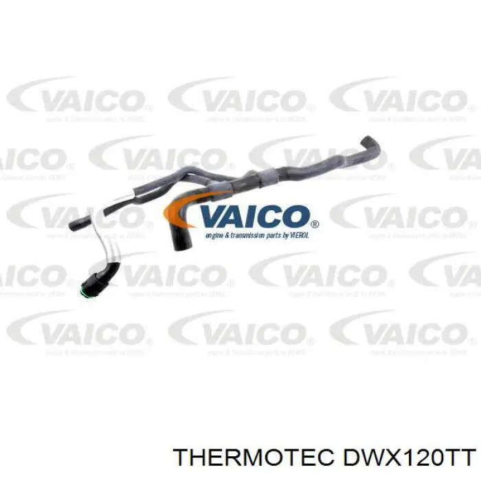 Купити DWX120TT Thermotec Шланг/патрубок радіатора охолодження, нижній