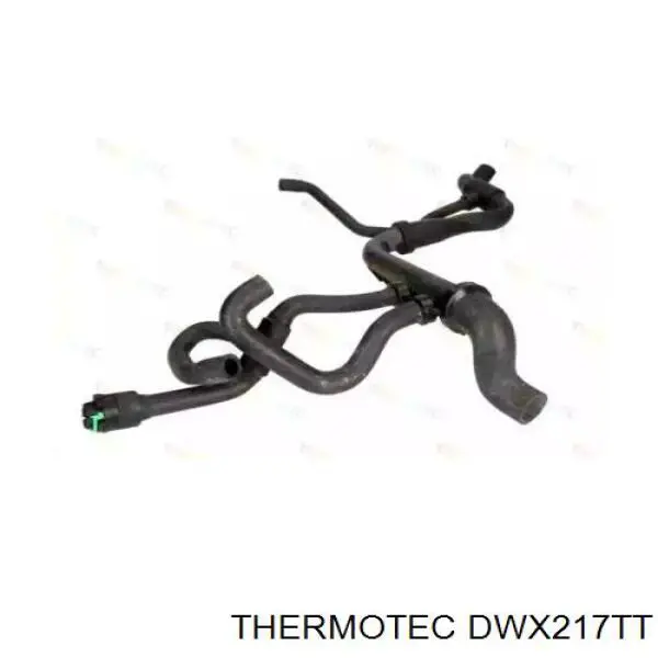 DWX217TT Thermotec Шланг/патрубок радіатора охолодження, нижній