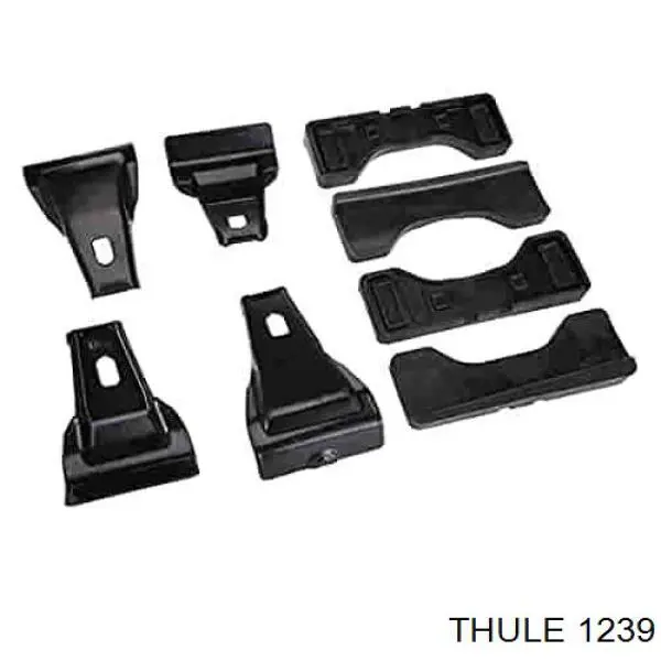  1239 Thule