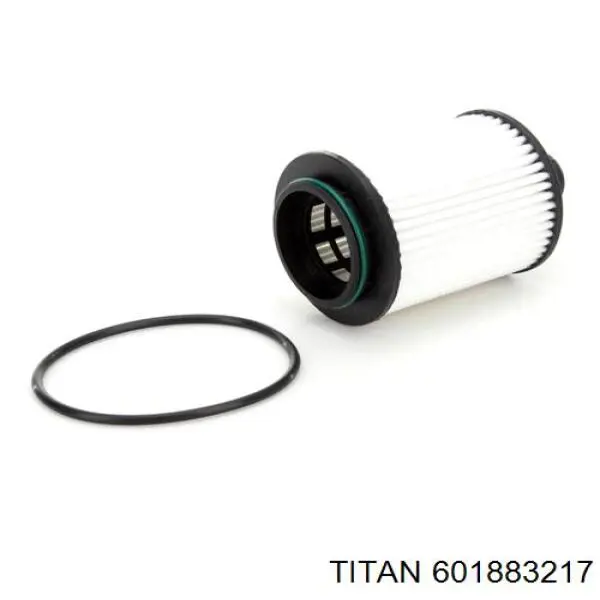 Моторна олива Titan 601883217
