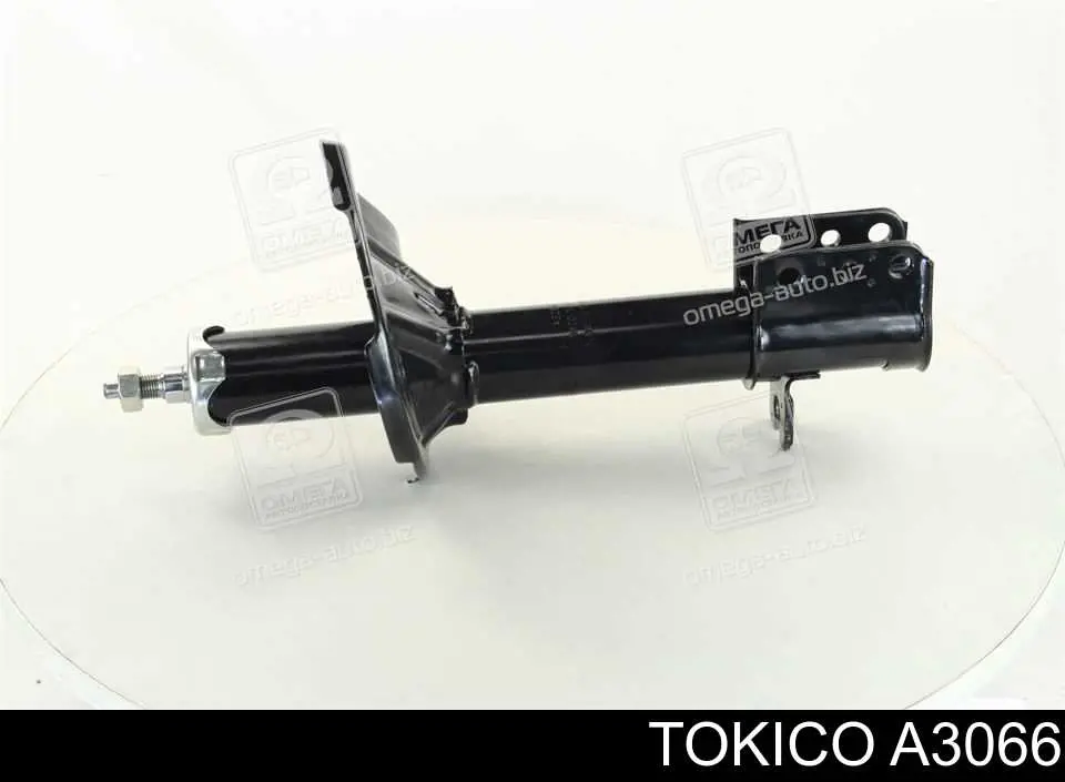Купити RS290669 Raiso Стійка амортизатора задня