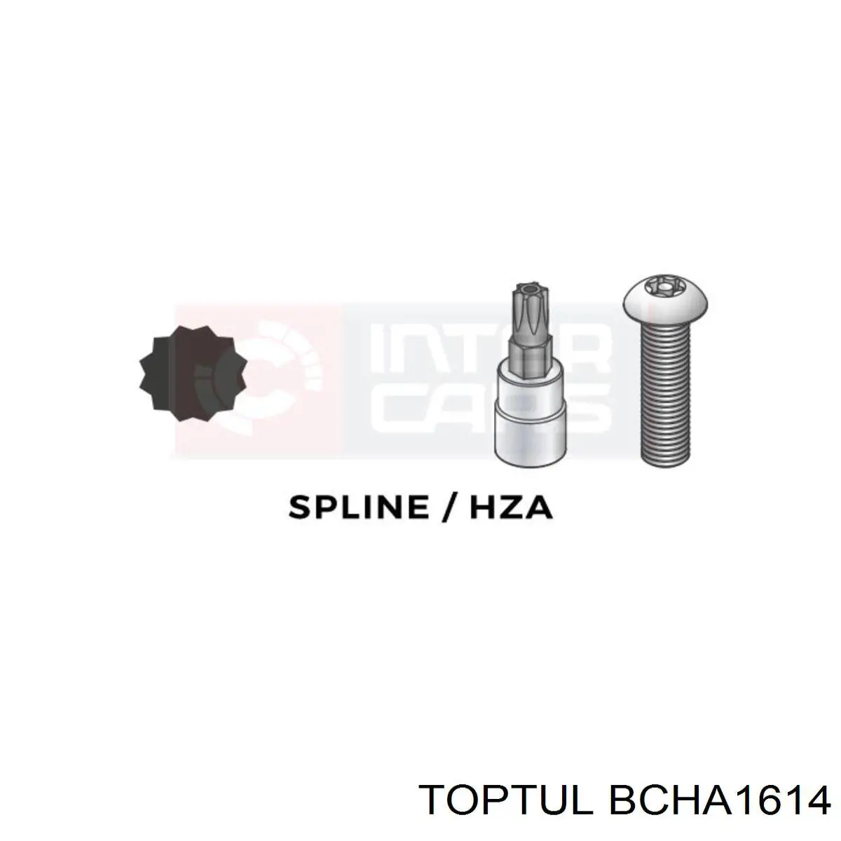 Купити BCHA1614 Toptul 