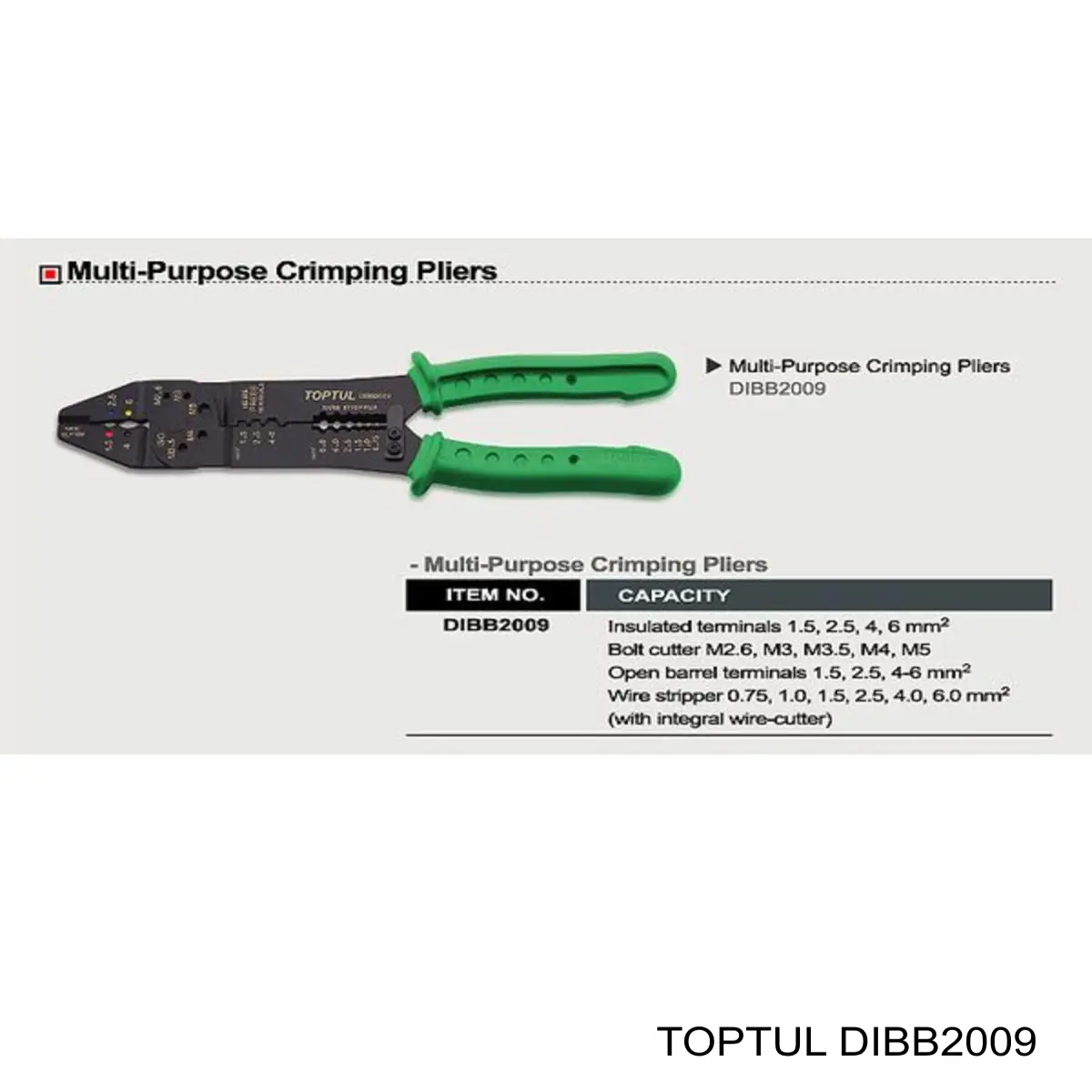 DIBB2009 Toptul 