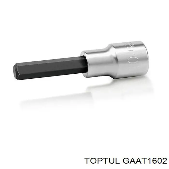 GAAT1602 Toptul 
