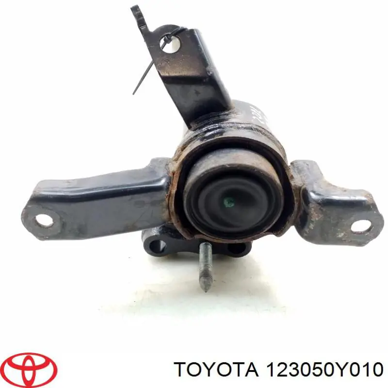 123050Y010 Toyota 