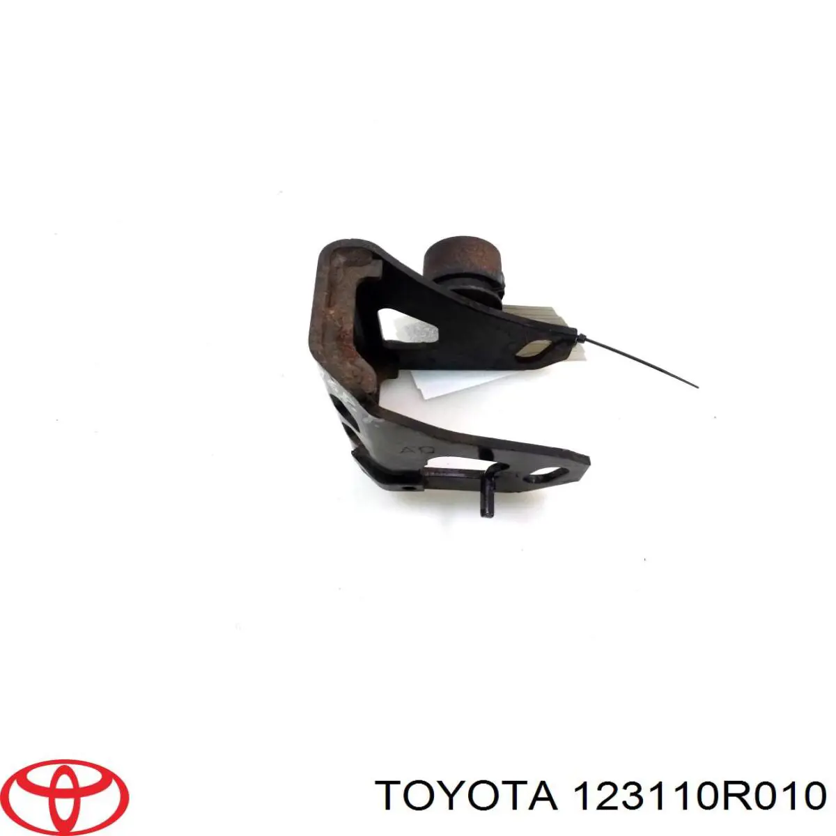 123110R010 Toyota 