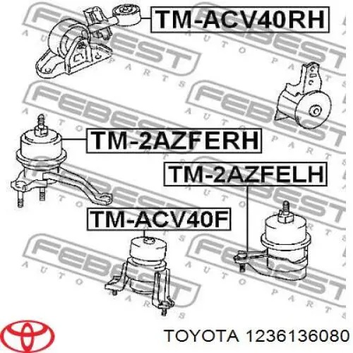 1236136080 Toyota подушка (опора двигуна, передня)
