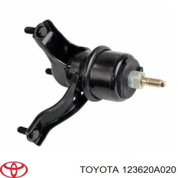 123620A020 Toyota 