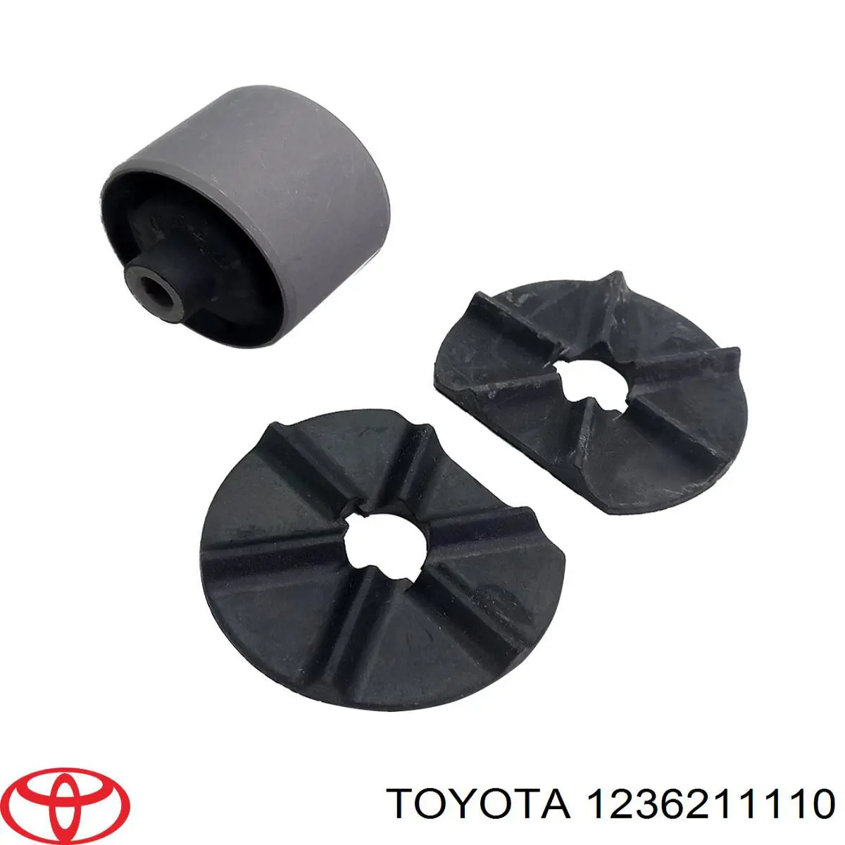Купити T09EY10L RBI 
