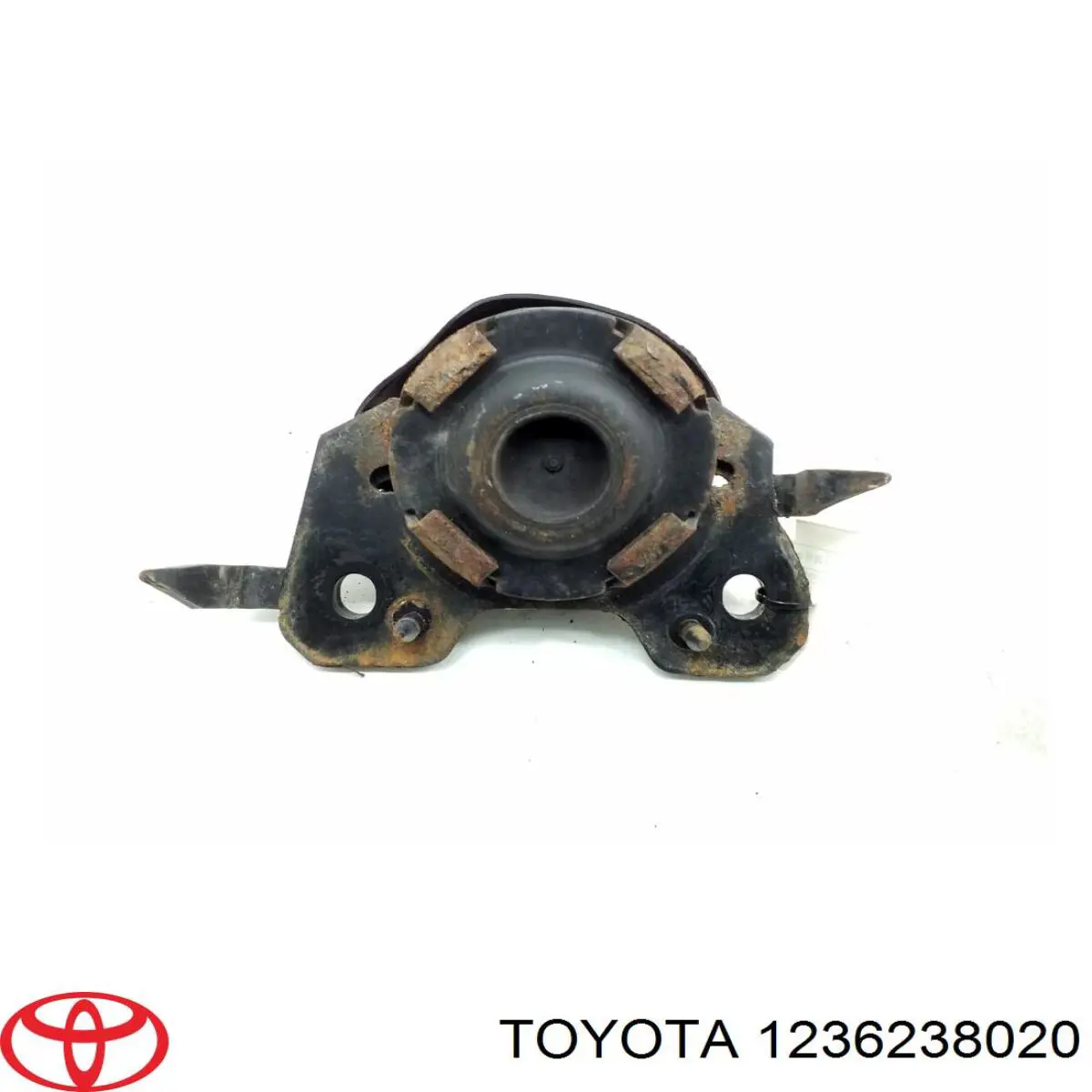  1236238020 Toyota