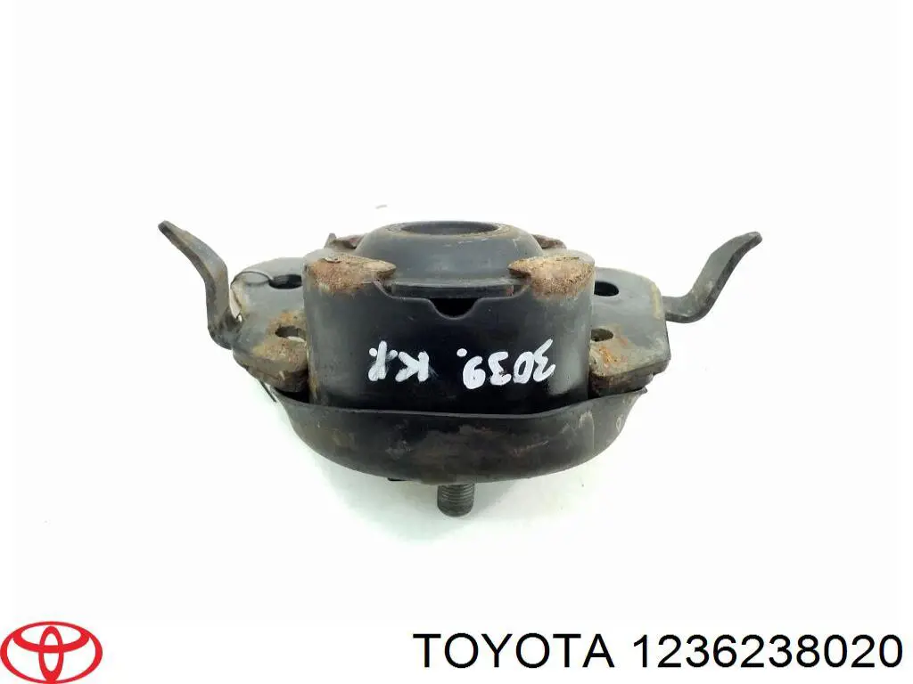  1236238020 Toyota
