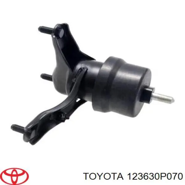 123630P070 Toyota 