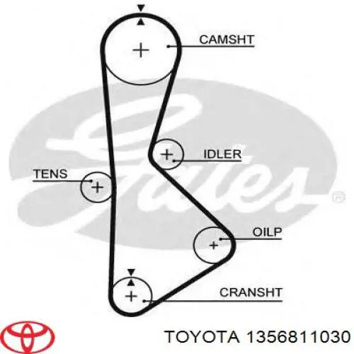 1356811030 Toyota Ремінь двигуна