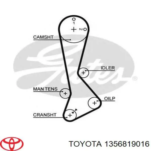 1356819016 Toyota ремінь грм