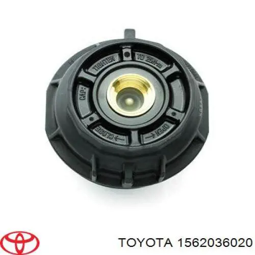 1562036020 Toyota кришка масляного фільтра