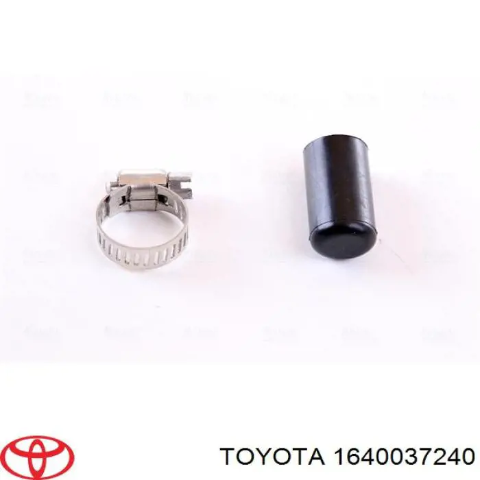 Купити 1640037240 Toyota Радіатор двигуна
