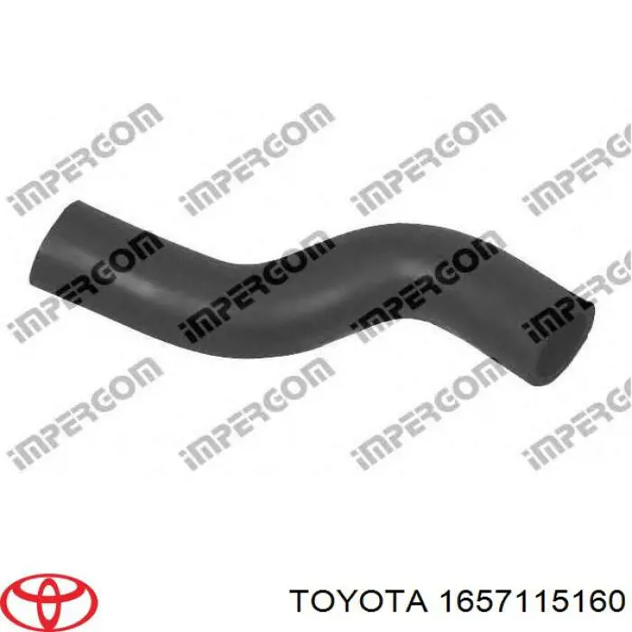Купити 1657115160 Toyota Шланг/патрубок радіатора охолодження, верхній