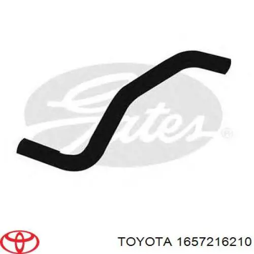 Шланг/патрубок радіатора охолодження, нижній Toyota 1657216210 ціна, від 18.59 USD