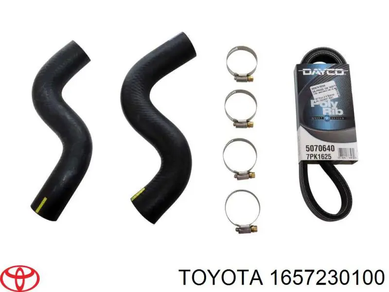 Купити 1657230100 Toyota Шланг/патрубок радіатора охолодження, нижній
