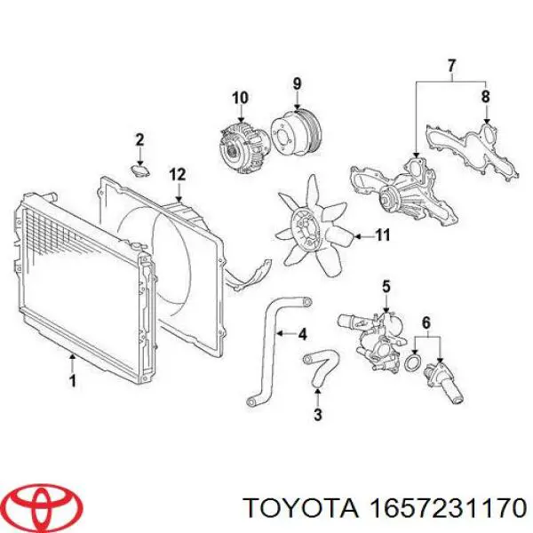 Шланг/патрубок радіатора охолодження, нижній Toyota 1657231170 ціна, від 15.92 USD