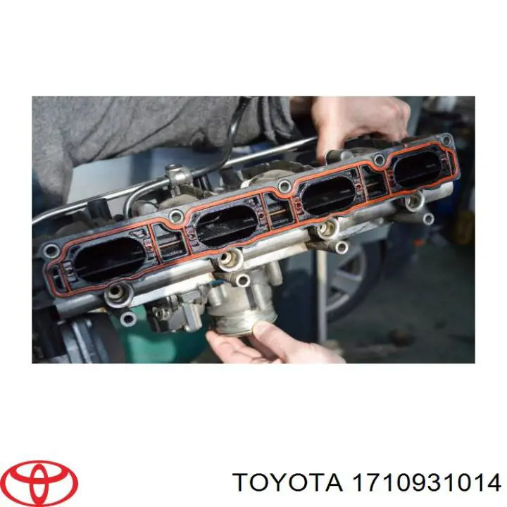 Купити 1710931010 Toyota Колектор впускний верхній