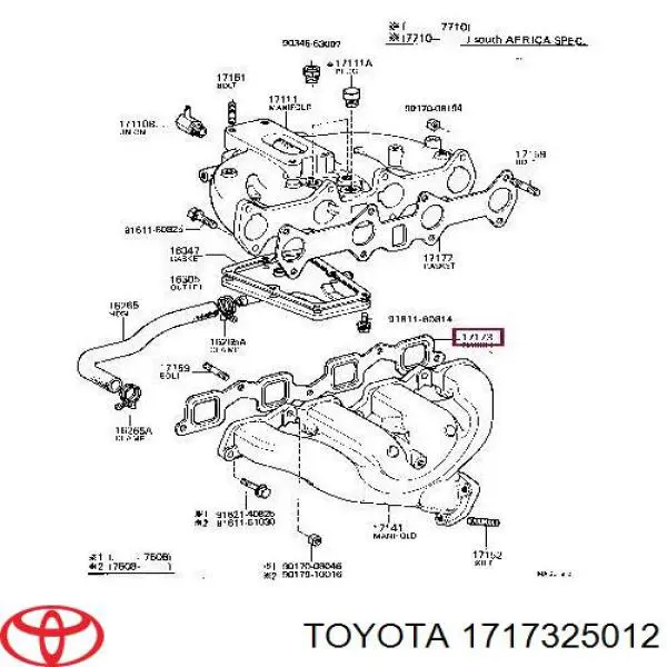 Прокладка випускного колектора 1717325013 Toyota