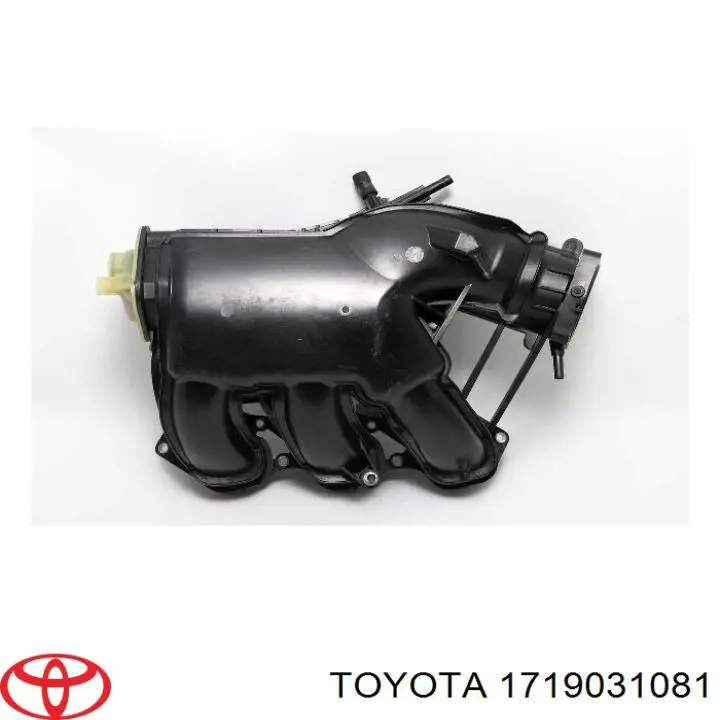 1719031081 Toyota Колектор впускний