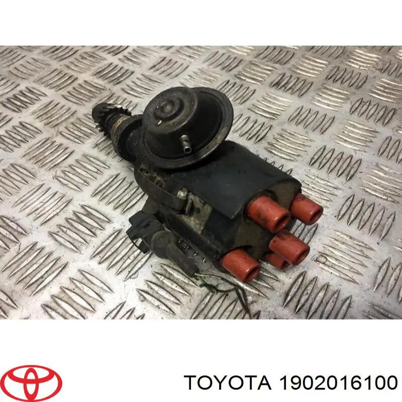 Трамблер Toyota 1902016100