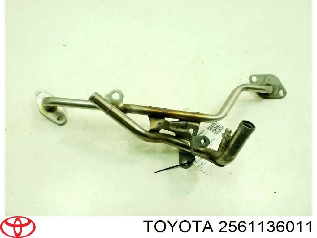 2561136011 Toyota 